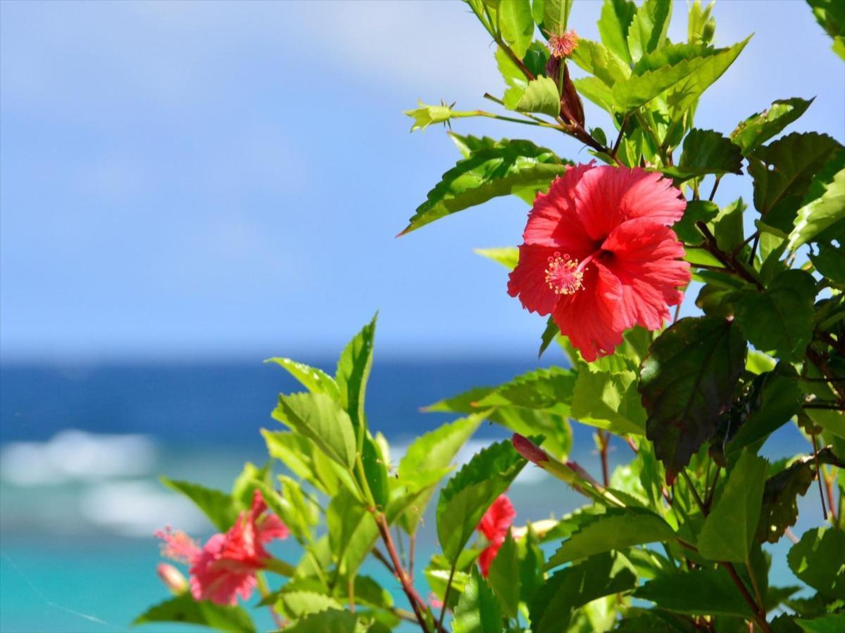 Allamanda Imgya Coral Village Miyakojima  Экстерьер фото