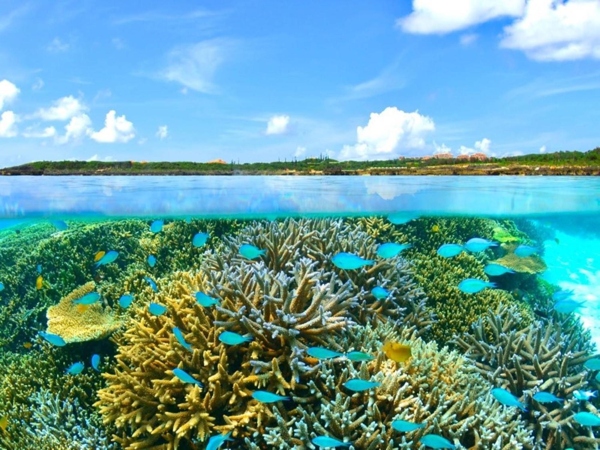 Allamanda Imgya Coral Village Miyakojima  Экстерьер фото